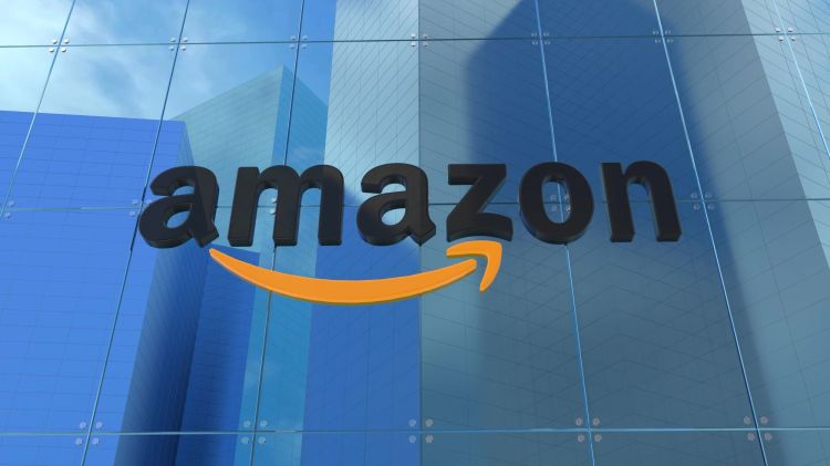 Amazon plant chinesische Billig-Sparte