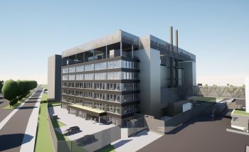 Salt und Green starten strategische Partnerschaft